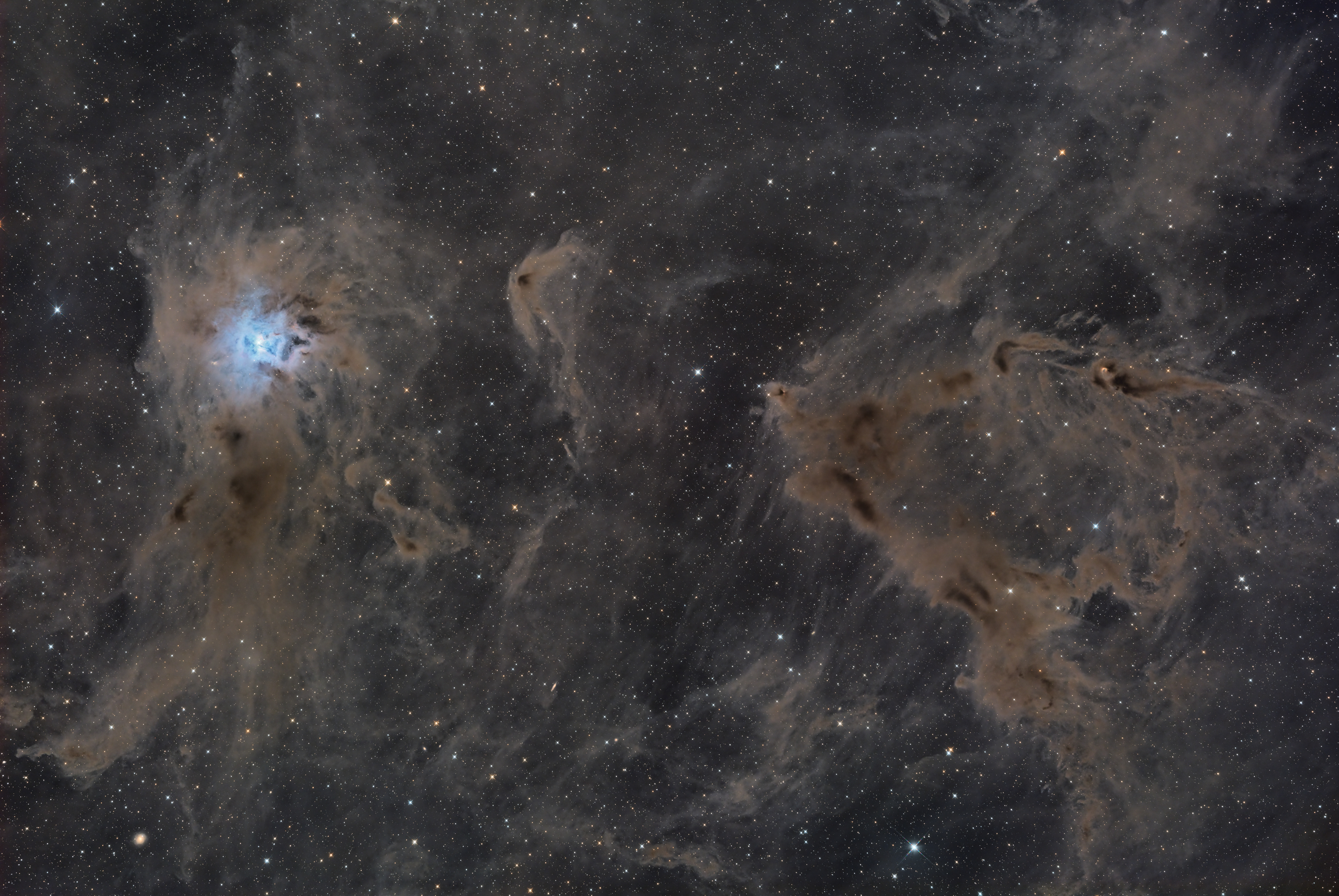 NGC7023 Iris Nebula | Camera: QHY600PH | Optics: Takahashi e160ED | L: 57x180" | R: 63x180" | G: 63x180" | B: 63x180" | Total Integration 12h 18m