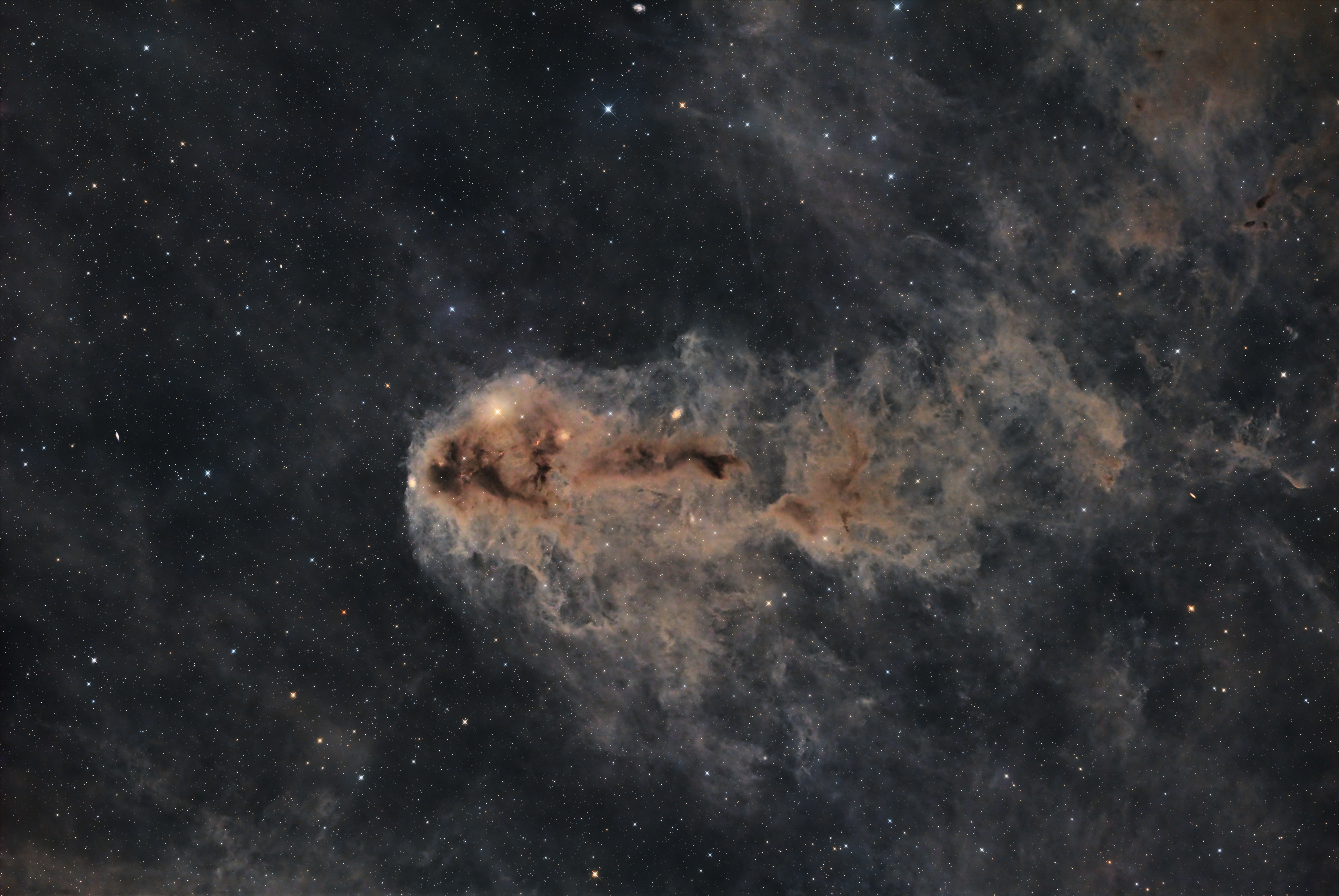 LDN1251 Lynds Dark Nebula | Camera: QHY600PH | Optics: Takahashi e160ED | L: 64x180" | R: 15x180" | G: 15x180" | B: 15x180" | Total Integration 5h 27m